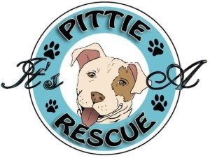 sundance vacations its a pittie rescue