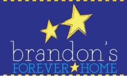 sundance-vacations-charities-brandons-forever-home logo